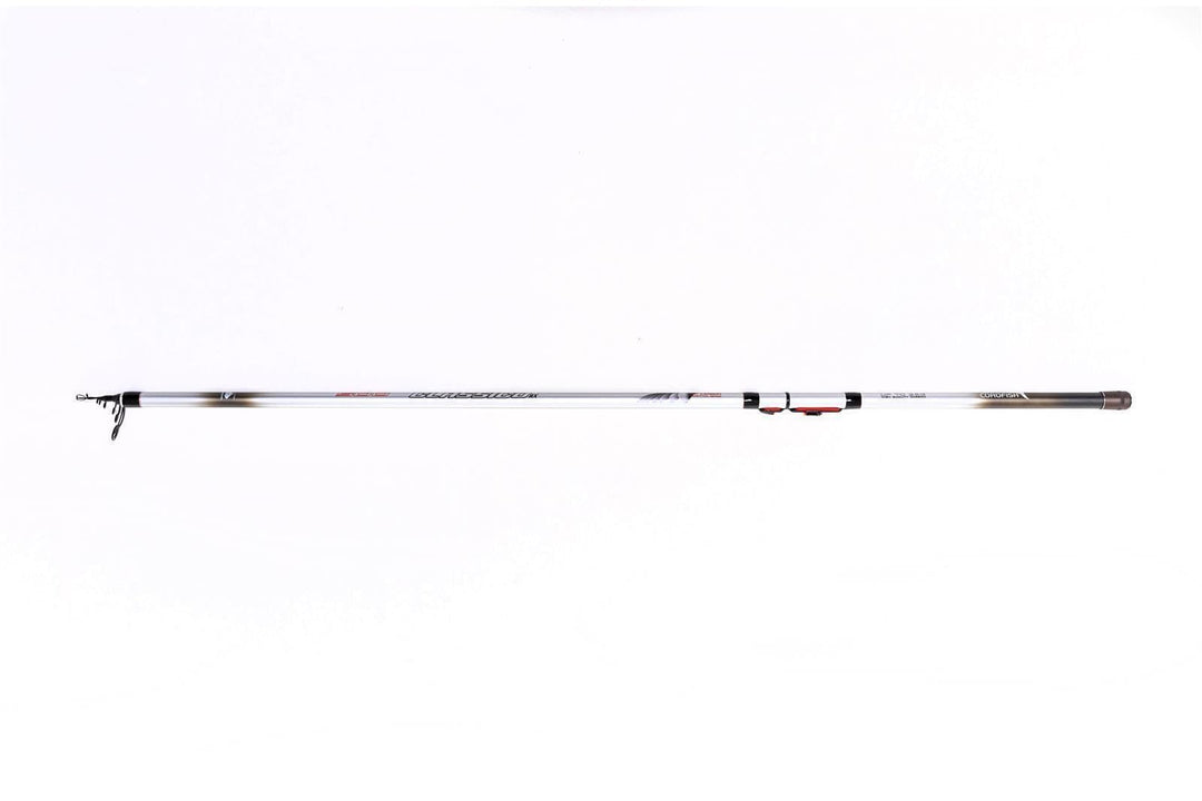 Bolognese 400 4.00m 5-25g Posenrute 4-teilig Friedfischrute
