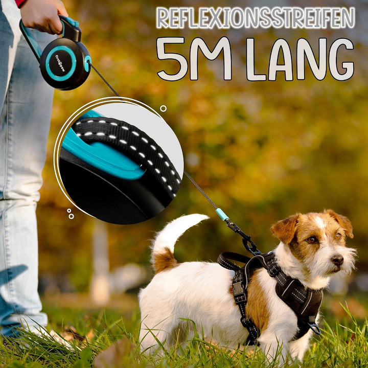 Hundeleine für kleine und mittelgrosse Hunde (bis zu 20kg), 5m Lange Hundeleine ausziehbar mit Beque