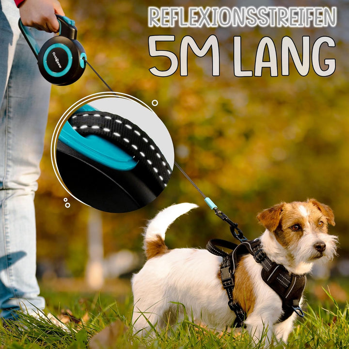 Hundeleine für kleine und mittelgrosse Hunde (bis zu 50kg), 5m Lange Hundeleine ausziehbar mit Beque