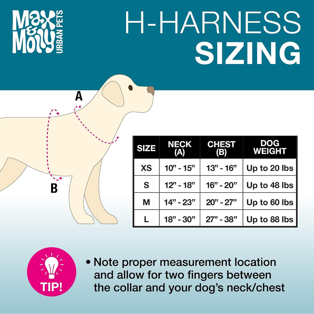 Max &amp; Molly Magic Zebra Hundegeschirr, extra klein Zebra Grösse XS, Zebra Extra Small
