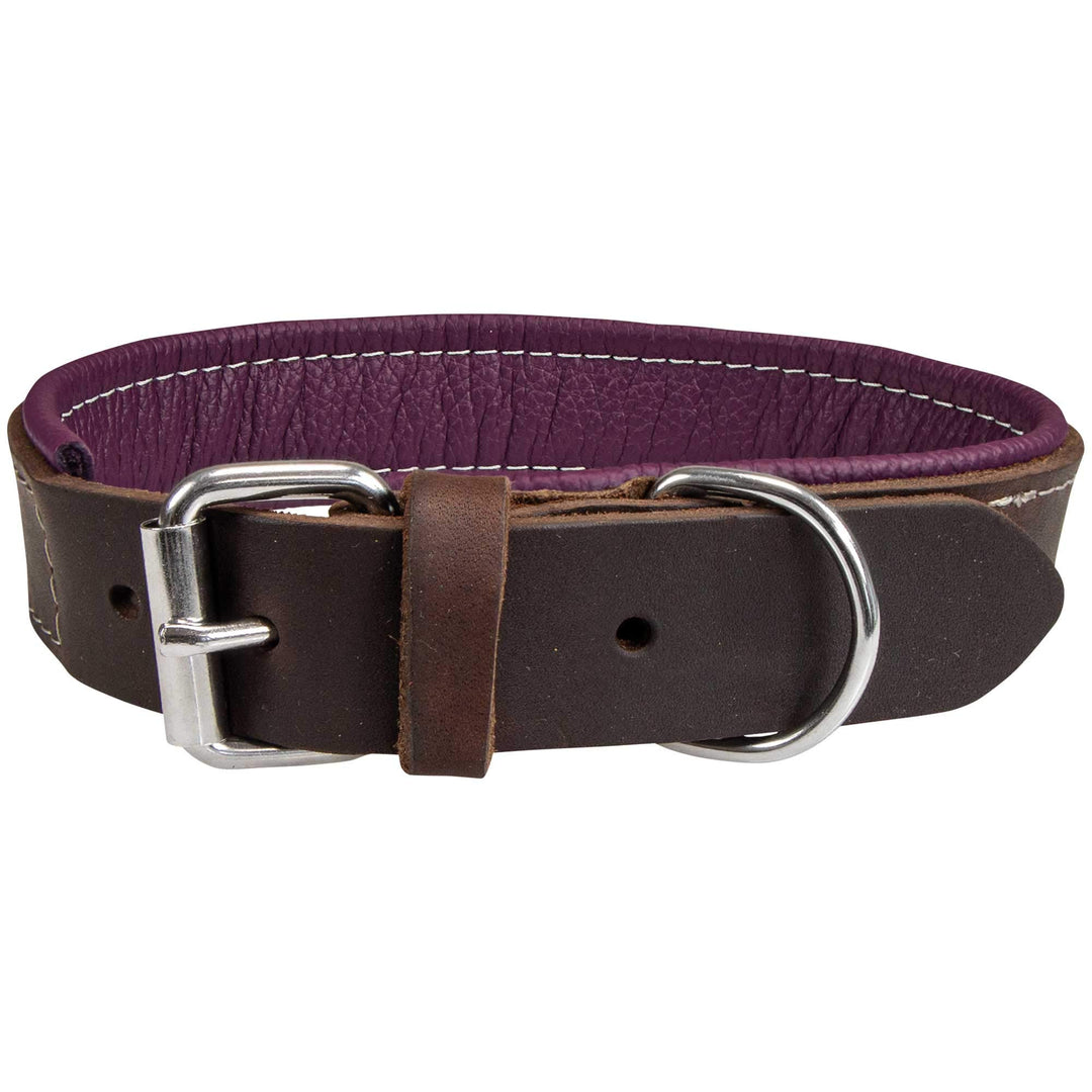 Schecker Moorfeuer Hundehalsband aus Leder Halsumfang ca. 24-32 cm Handgefertigt Handmade Hochwertig