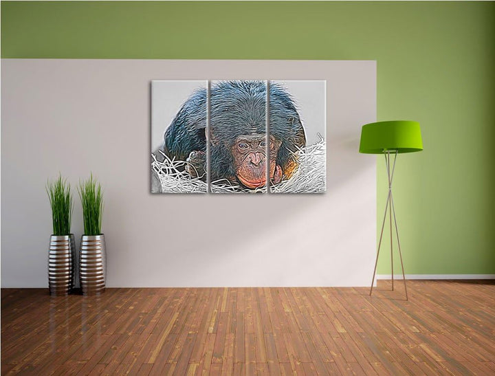 kleiner Schimpanse im Heu schwarz/weiss Deluxe 3-Teiler Leinwandbild 120x80 Bild auf Leinwand, XXL r