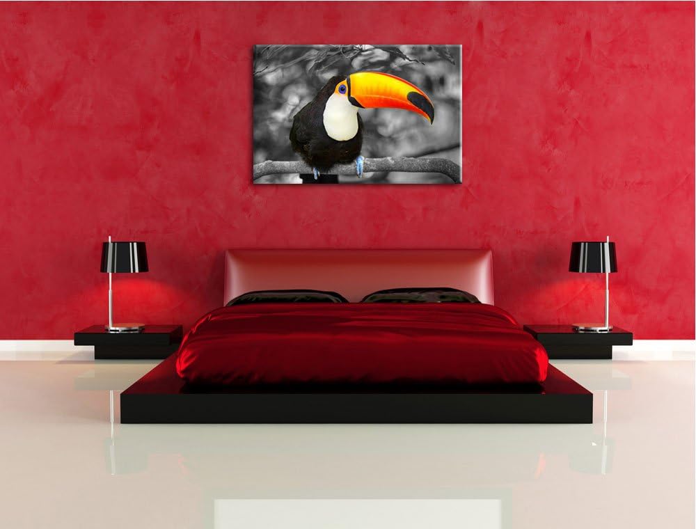 prachtvoller exotischer Tukan schwarz/weiss Format: 100x70 auf Leinwand, XXL riesige Bilder fertig g
