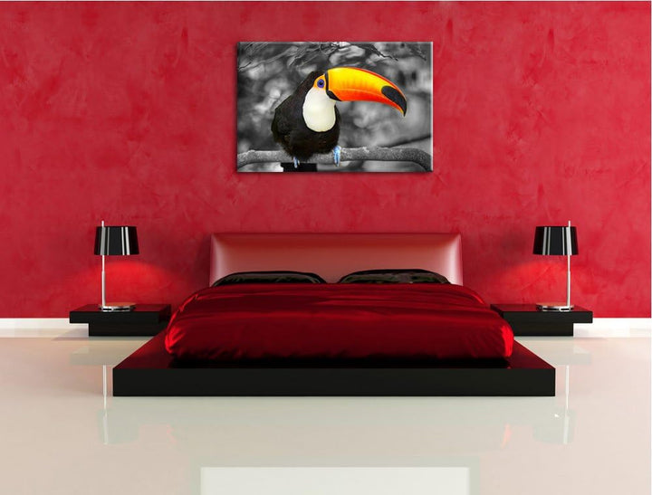 prachtvoller exotischer Tukan schwarz/weiss Format: 100x70 auf Leinwand, XXL riesige Bilder fertig g