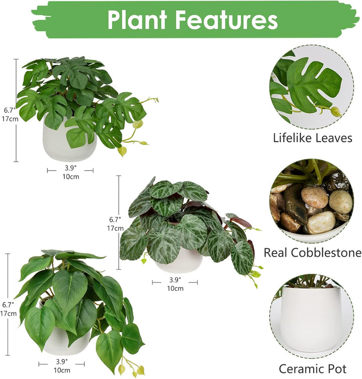 3er-Set Kunstpflanze Hängend Deko Pflanzen im Keramiktopf Mini Kunstpflanze Monstera und Philodendro