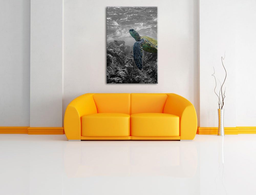 Schildkröte und Korallen im Ozean schwarz/weiss Format: 100x70 auf Leinwand, XXL riesige Bilder fert