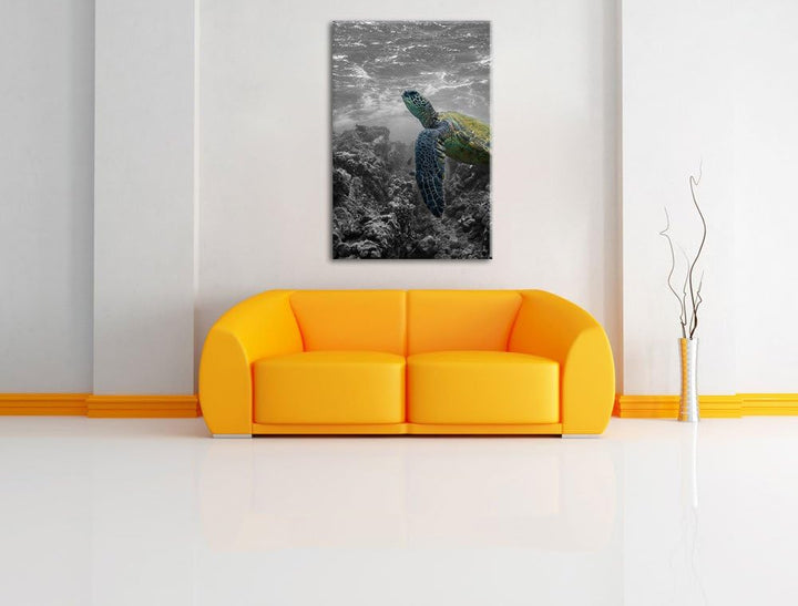 Schildkröte und Korallen im Ozean schwarz/weiss Format: 100x70 auf Leinwand, XXL riesige Bilder fert