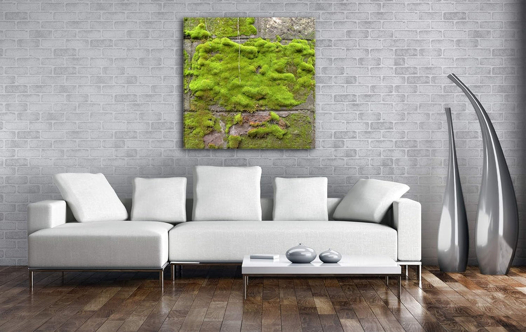 deyoli Moos auf Einer Steinwand Format: 70x70 als Leinwandbild, Motiv fertig gerahmt auf Echtholzrah