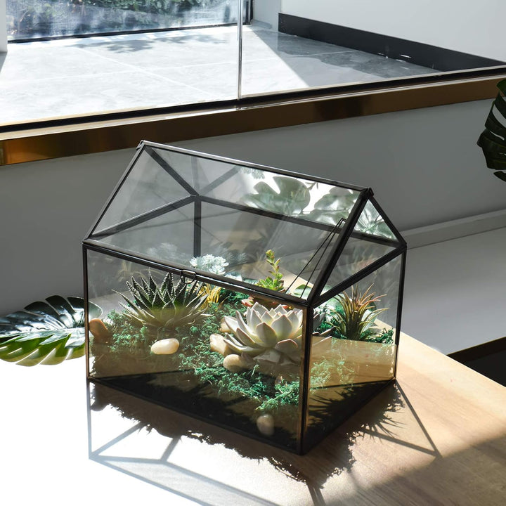 Grosses Glas Pflanze Terrarium - Haus Sukkulenten Glas Terrarium Kit mit Lippe Glas Gewächshaus Terr