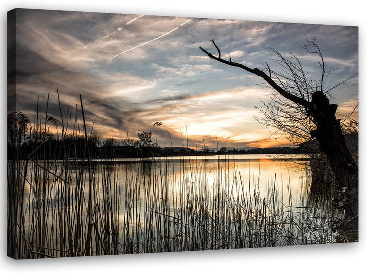 Feeby Bild auf Leinwand Natur Kunstdruck modern Landschaft Grau 80x60 cm