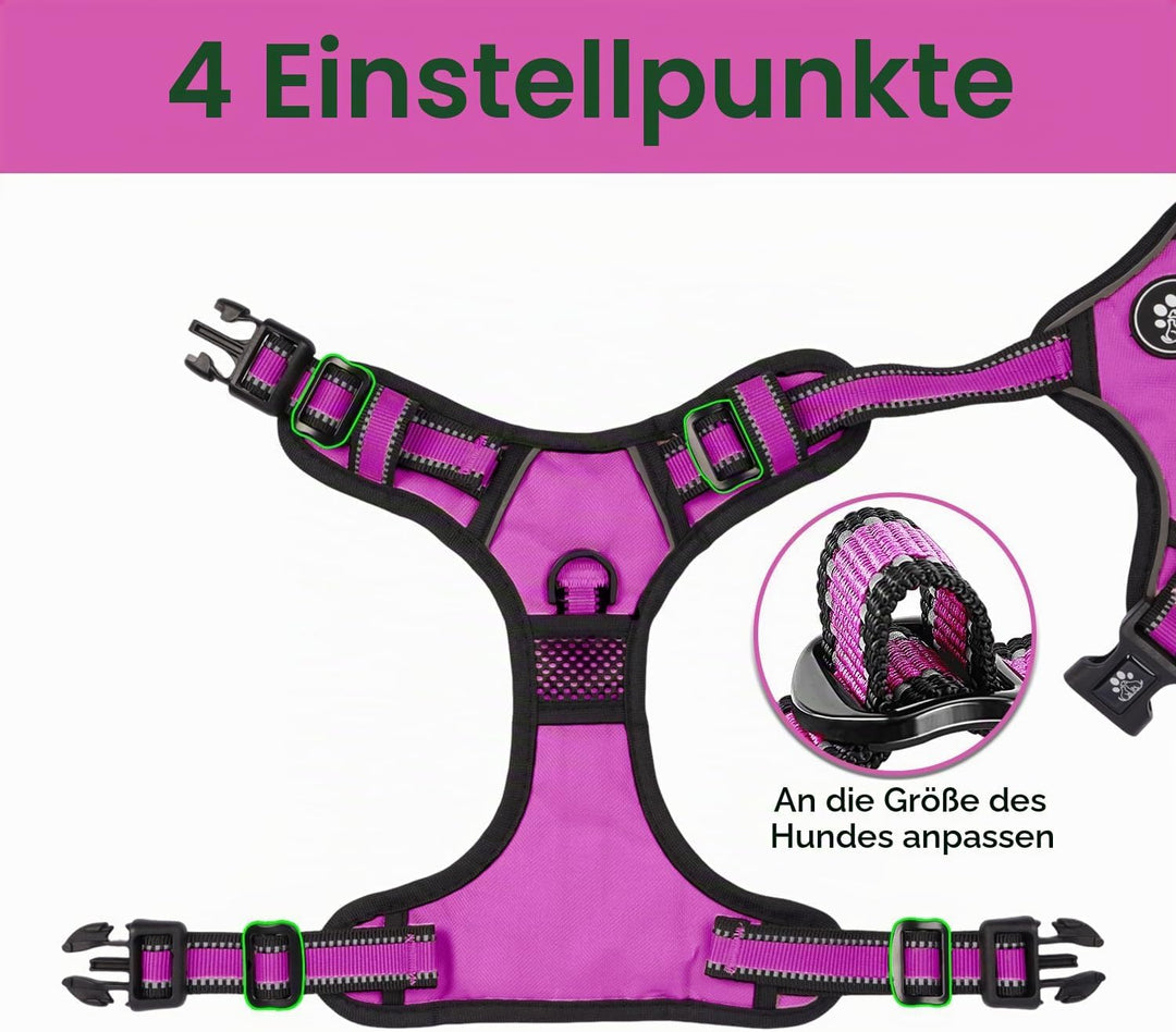 NESTROAD Hundegeschirr Kleine Hunde Rose Rot, Anti Zug Geschirr Gepolstert Brustgeschirr für Kleine