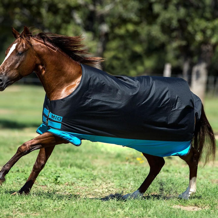 Horseware Amigo Mio Turnout medium black turquoise Weidedecke Winterdecke schwaz-türkis 6'0, schwaz-