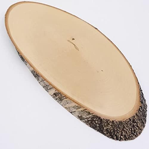 GTK - Geweihe & Trophäen KRUMHOLZ Birke Rothirsch AF 38 cm Hirsch Schild Trophäenschild Geweih Baums