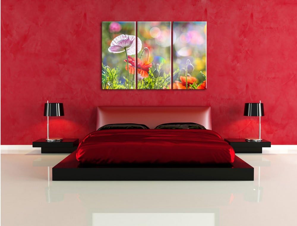 Pixxprint Kalifornischer Mohn im Frühling / 3-Teilig/Gesamtmass 120cm Leinwandbild bespannt auf Holz