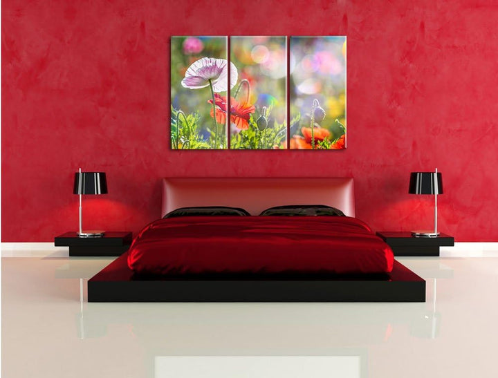 Pixxprint Kalifornischer Mohn im Frühling / 3-Teilig/Gesamtmass 120cm Leinwandbild bespannt auf Holz