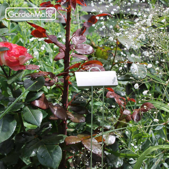 GardenMate® 25er Set Pflanzschilder Poster XL 55 cm aus Metall