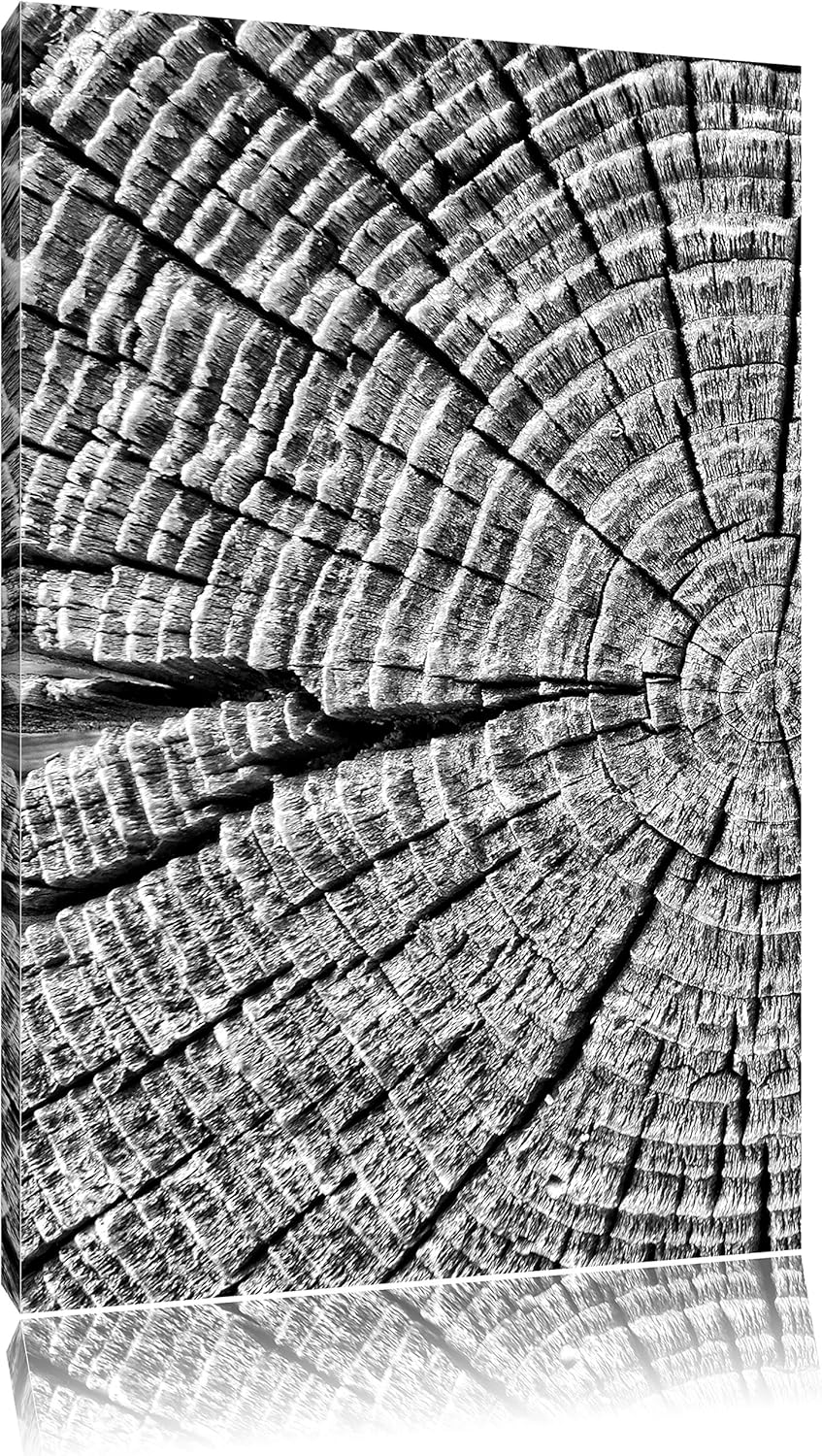 Pixxprint Baumstamm Jahresringen als Leinwandbild/Grösse: 100x70 / Wandbild/Kunstdruck/fertig bespan