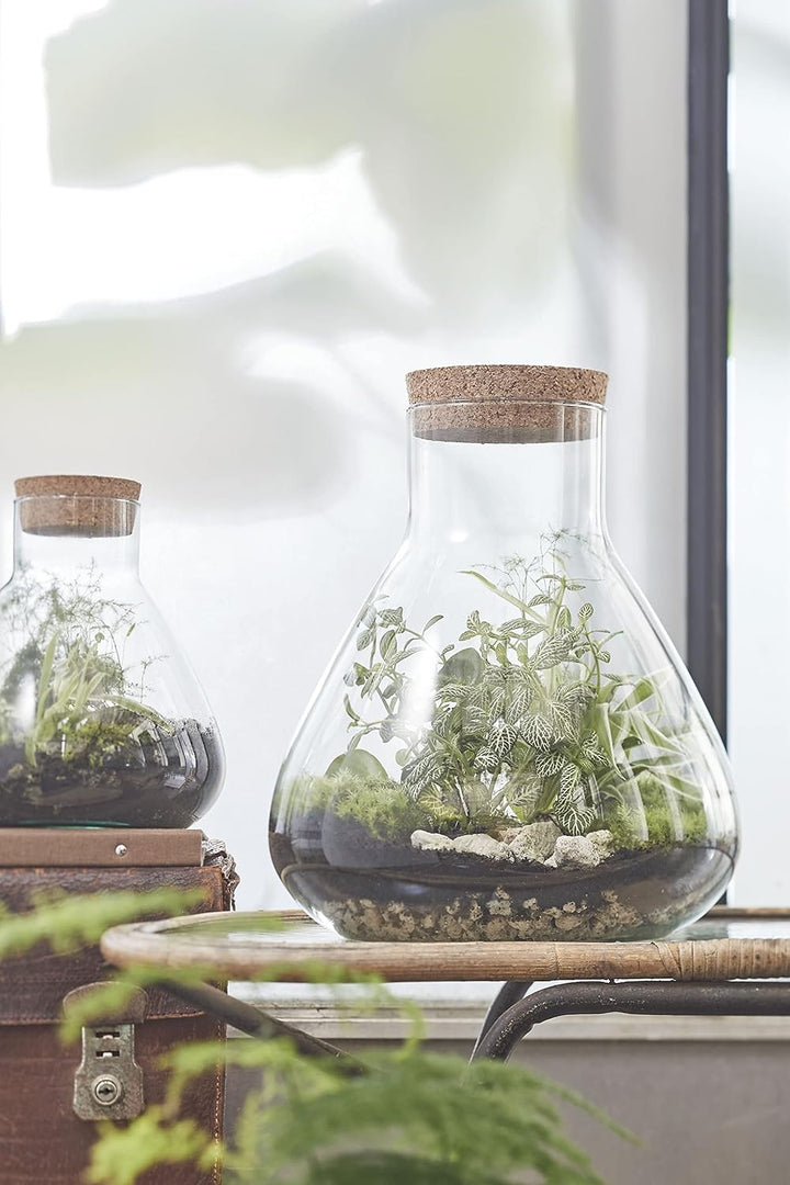 MICA Decorations Decorations Glas Terrarium Glasdose mit Korkverschluss Emily recyceltes Glas transp