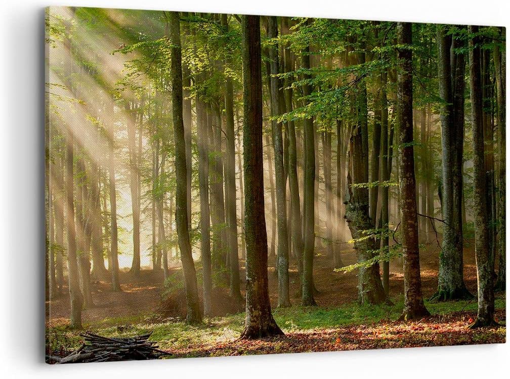 Bilder auf Leinwand 100x70cm Leinwandbild mit Rahmen Wald Baum Natur Gross Wanddeko Bild Schlafzimme