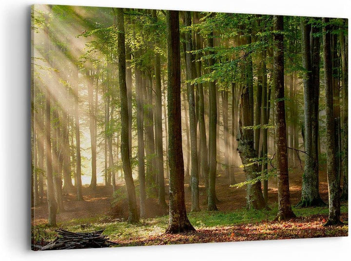 Bilder auf Leinwand 100x70cm Leinwandbild mit Rahmen Wald Baum Natur Gross Wanddeko Bild Schlafzimme