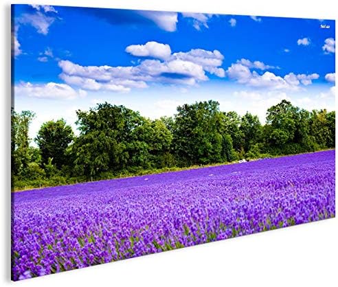 islandburner Bild Bilder auf Leinwand Lavendelfeld V4 Lavendel Provence 1p XXL Poster Leinwandbild W