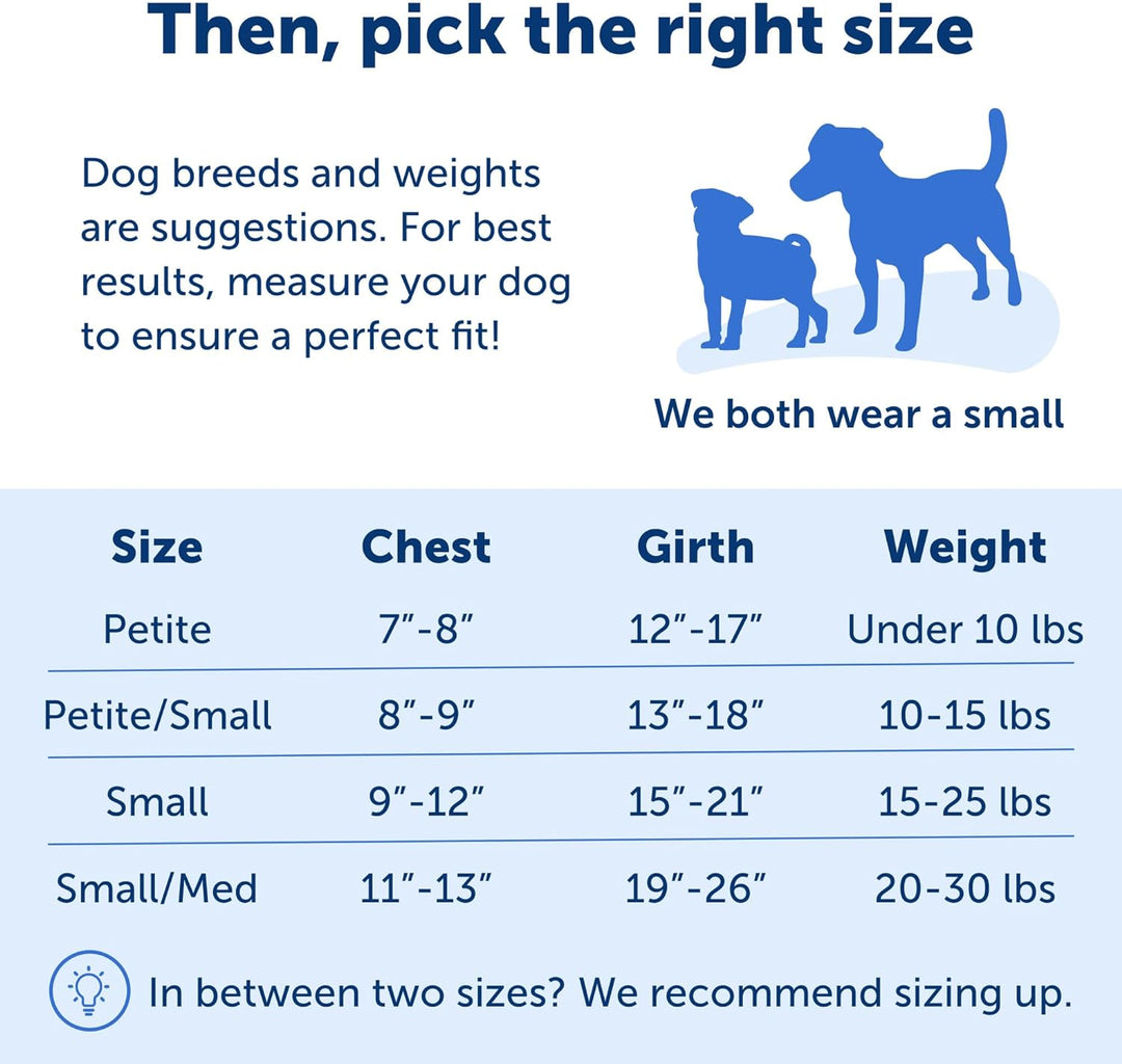 PetSafe Easy Walk Hundegeschirr. Deep Purple/Black Small, Deep Purple/Black Small