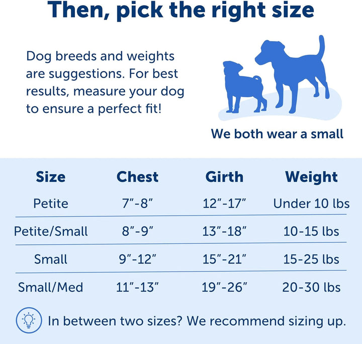 PetSafe Easy Walk Hundegeschirr. Deep Purple/Black Small, Deep Purple/Black Small