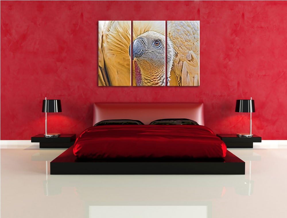 aussergewöhnlicher Geier NewArt 3-Teiler Leinwandbild 120x80 Bild auf Leinwand, XXL riesige Bilder f