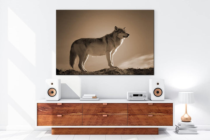 Der Wolf - das Raubtier des Waldes Format: 80x60 als Leinwand, Effekt: Sepia, Motiv fertig gerahmt a