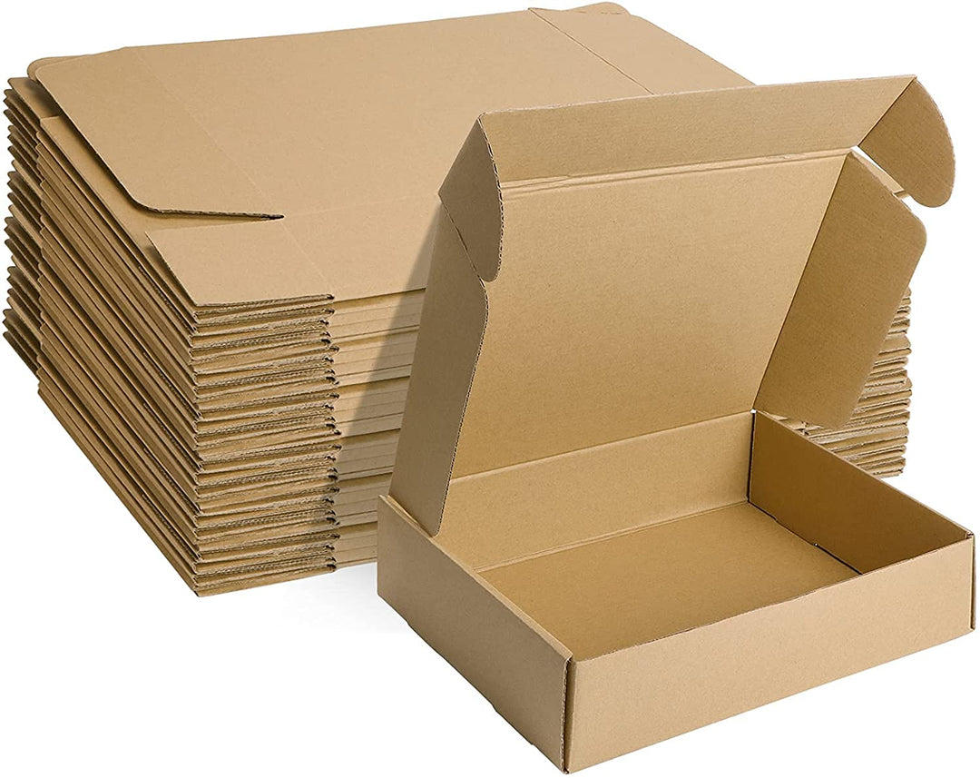 HORLIMER 20 Stück Versandkarton Klein Karton Box, 30,5x22,9x7,6 cm Verpackungskartons aus Wellpappe