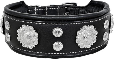 MICHUR Nero Hundehalsband Leder, Lederhalsband Hund, Halsband, schwarz mit schönem Stanzmuster und s