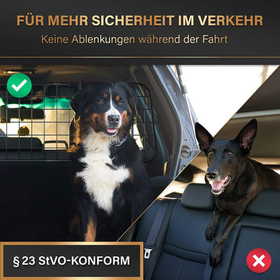 Heldenwerk Universal Kofferraum Trenngitter für Hunde - Auto Hundegitter zum Transport für deinen Hu