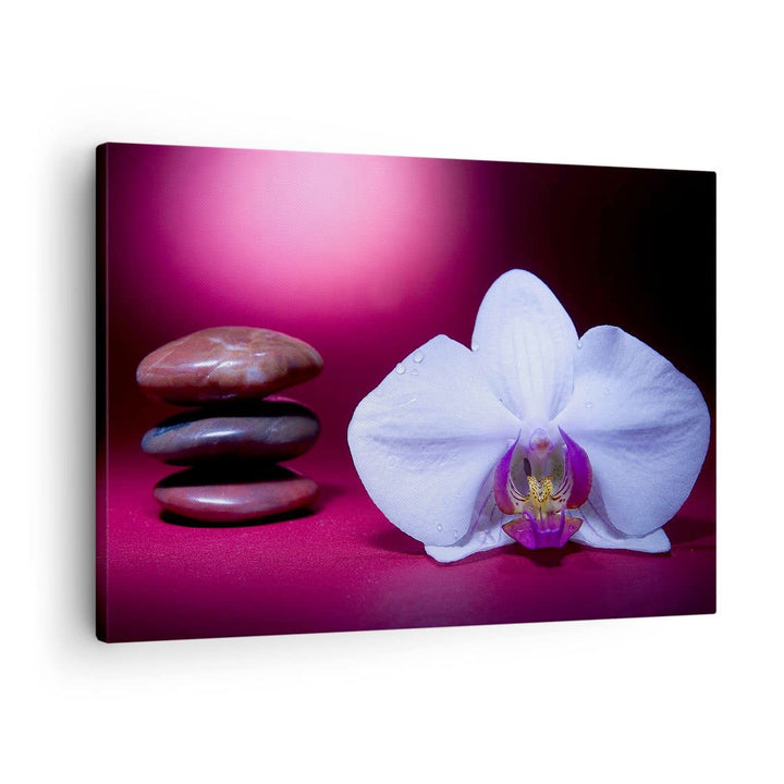 Bilder auf Leinwand Spa braune Steine weisse Orchidee Leinwandbild 70x50cm Wandbilder Dekoration Woh