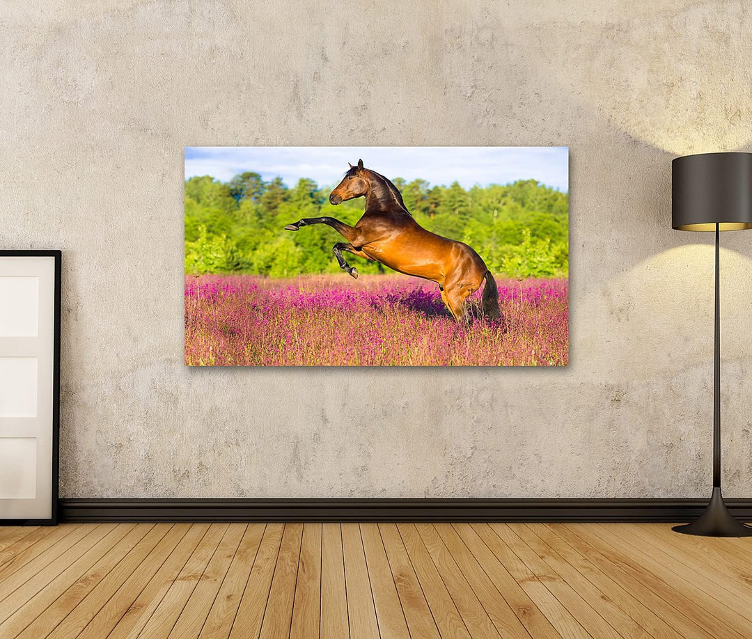 islandburner Bild auf Leinwand Braunes Pferd In Blumenfeld Bilder Wandbilder Poster Leinwand 80x40cm