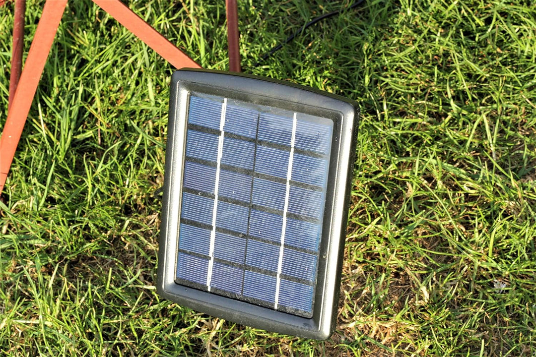 powershop11 Wasserspeier Drache 16 cm Solar