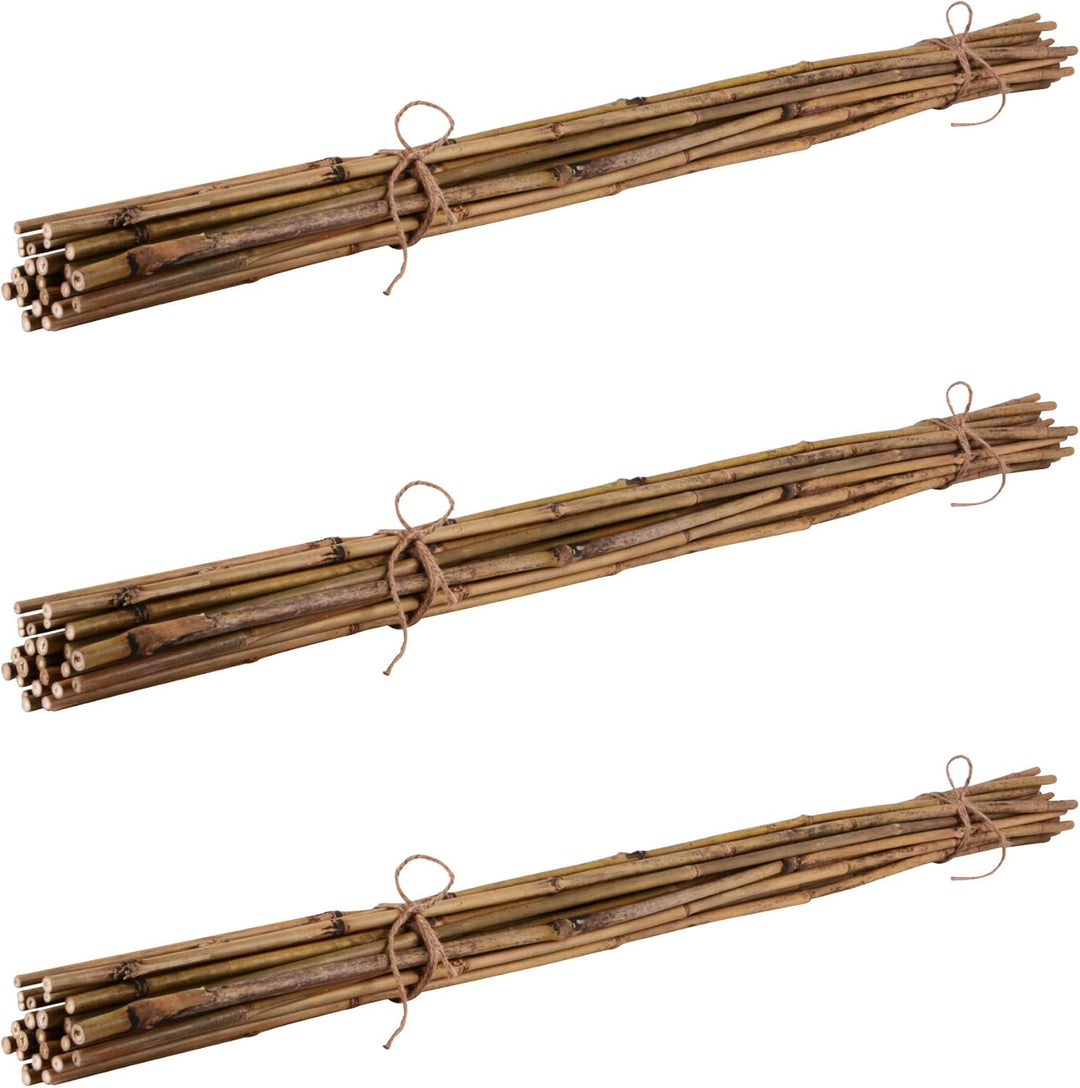 UNUS Bambusstäbe 50 Stück, Rankstäbe, Pflanzenstäbe Bambus 105cm naturfarbend Ø8-10mm 105cm 50er, 10