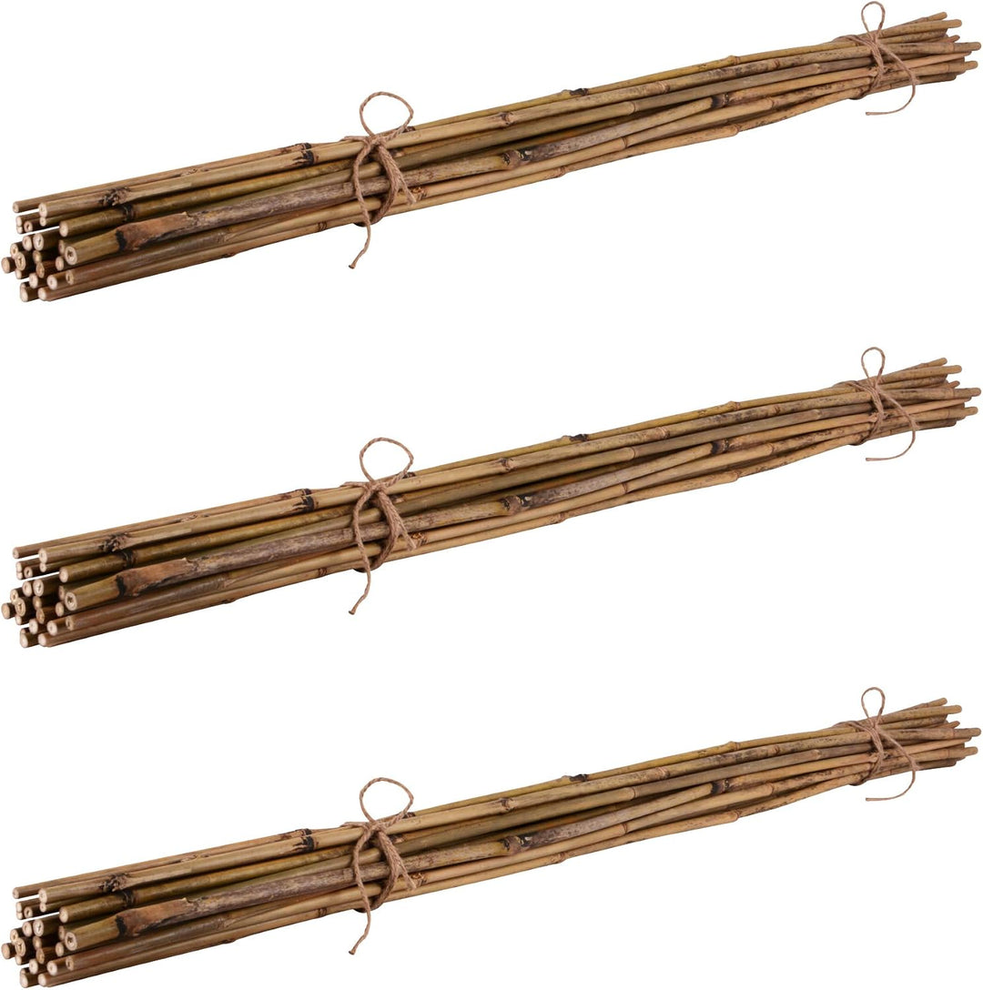 UNUS Bambusstäbe 105 cm lang Ø8-10mm 100er Set 105cm 100er, 105cm 100er