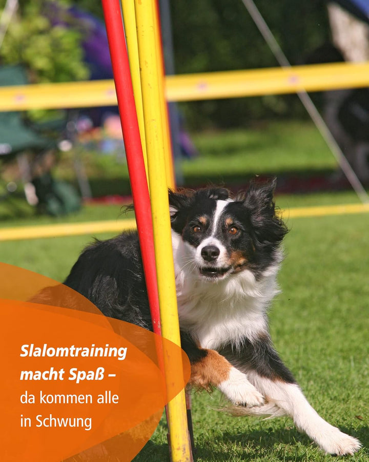 Agility-Slalom – Slalom für Turnier & Agility-Training – mit 12 Stangen & und Basis aus Metall – sta