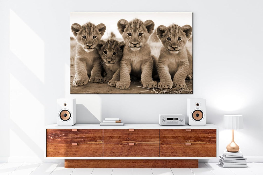 deyoli Löwenjungen in Afrika Format: 60x40 cm Effekt: Sepia als Leinwandbild, Motiv fertig gerahmt a