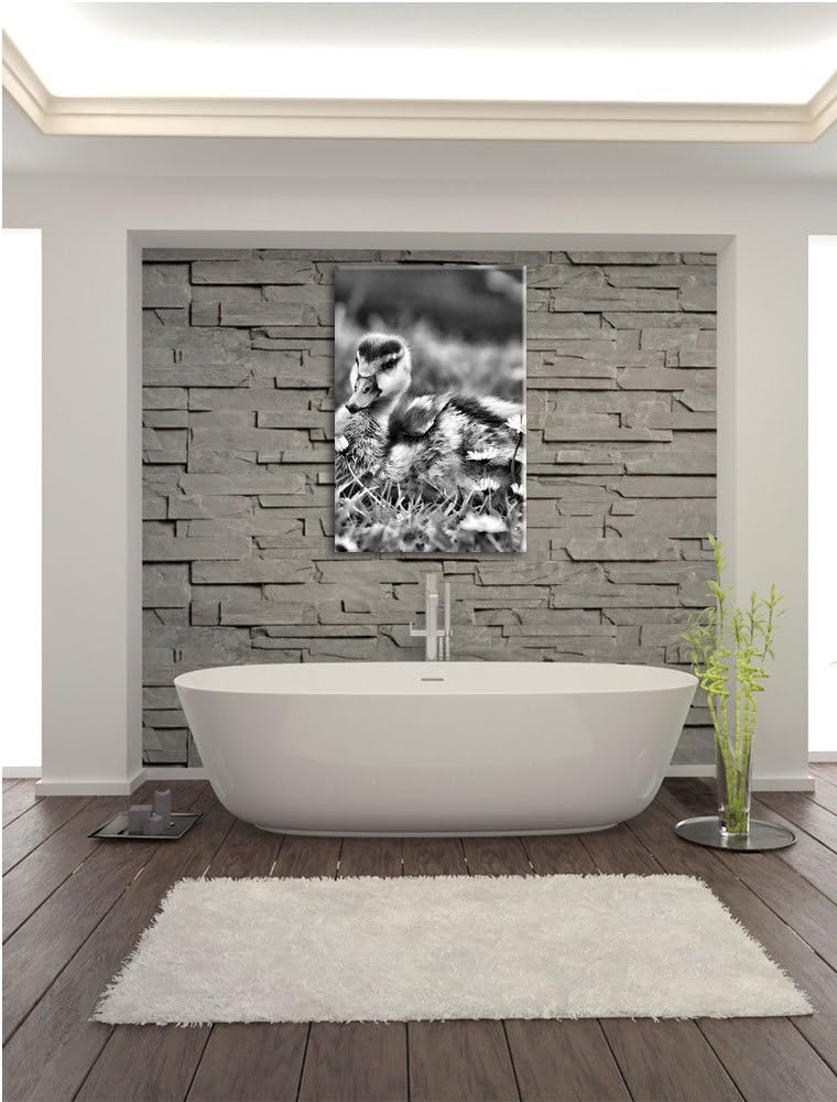 Pixxprint Monocrome, Enten auf Wiese, Format: 100x70 auf Leinwand, 100x70