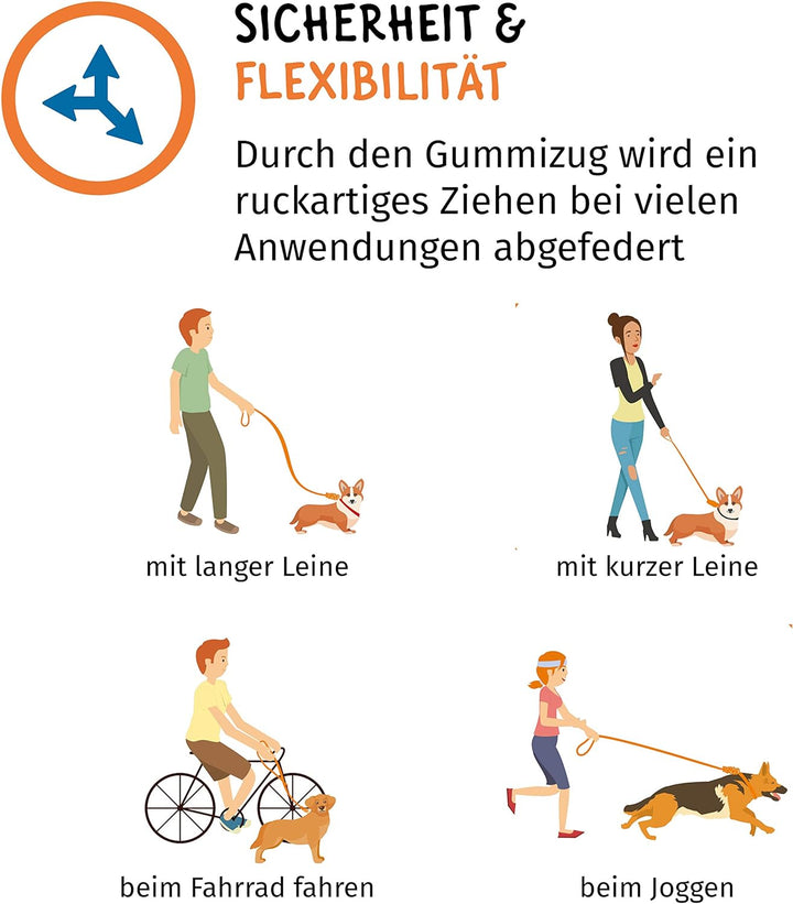 Floxik Ruckdämpfer Hund gross | stark | Elastische, robuste Leinenverlängerung für Jede Hundeleine -