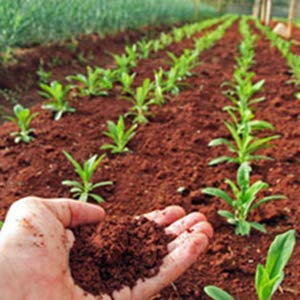 Ubibot RS485 Bodentemperatur und Feuchtigkeitssensor, wasserdichte Bodensonde, Garten-Bodentemperatu