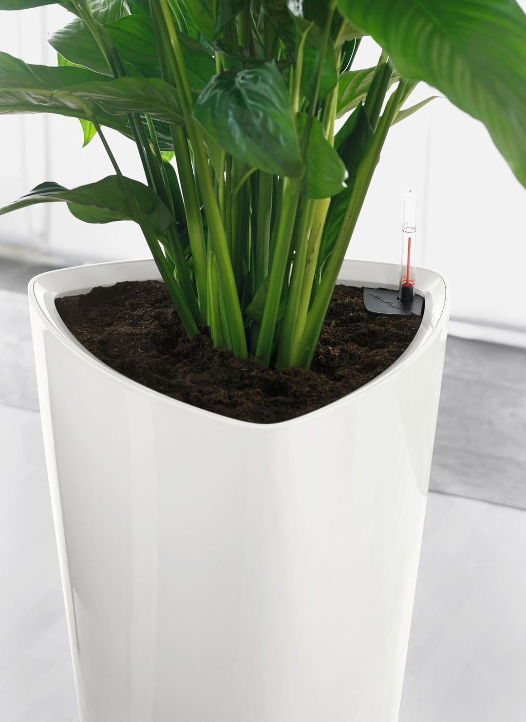 LECHUZA DELTA Premium 30 weiss hochglanz 15500 Weiss Hochglanz 29x29x56.5 cm Single, Weiss Hochglanz