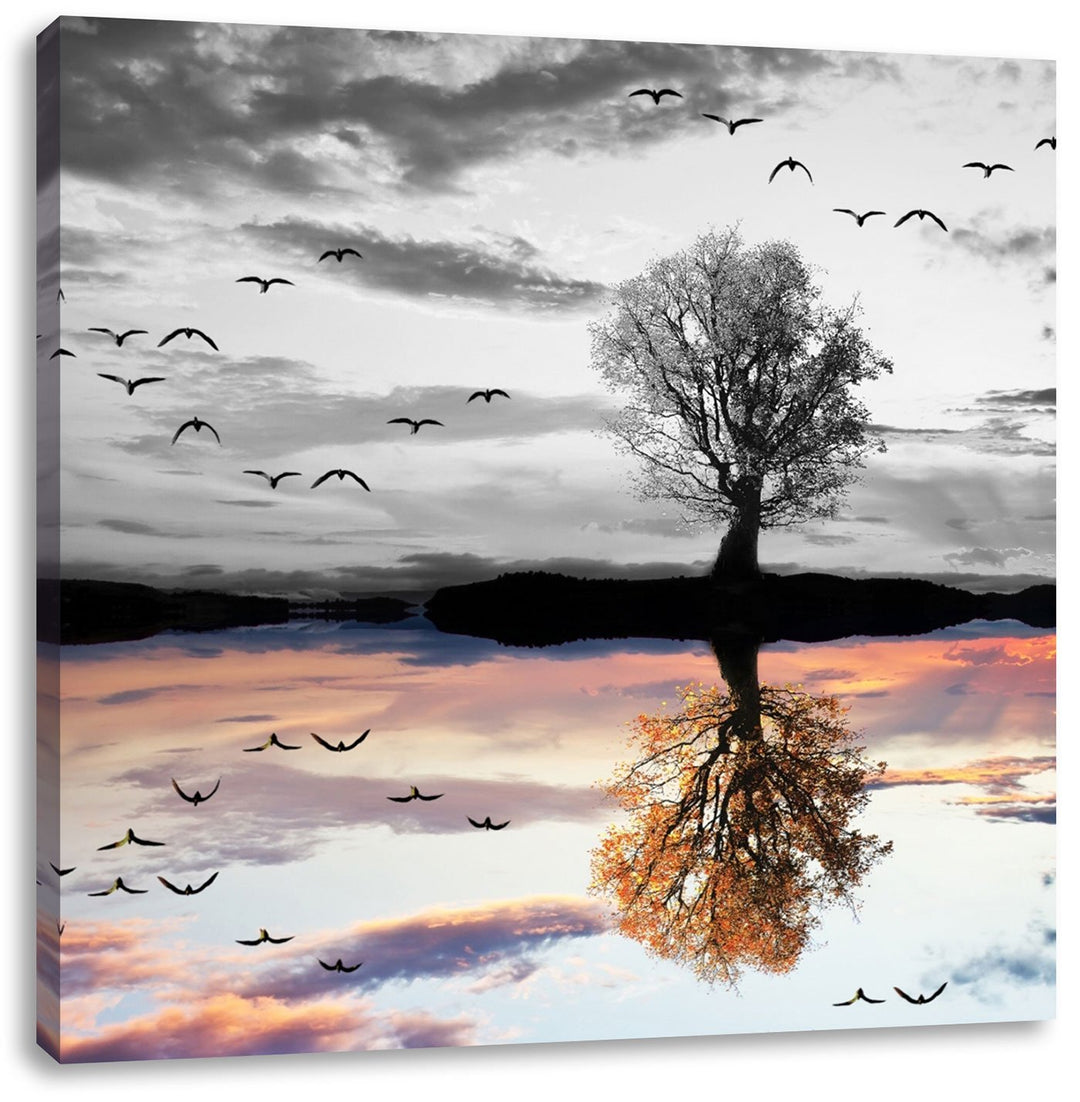 Pixxprint Baum der Sich im Wasser spiegelt als Leinwandbild Quadratisch/Grösse: 70x70 / Wandbild/Kun