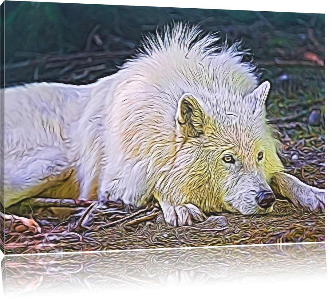 ruhender Polarwolf Deluxe Format: 100x70 cm auf Leinwand, XXL riesige Bilder fertig gerahmt mit Keil