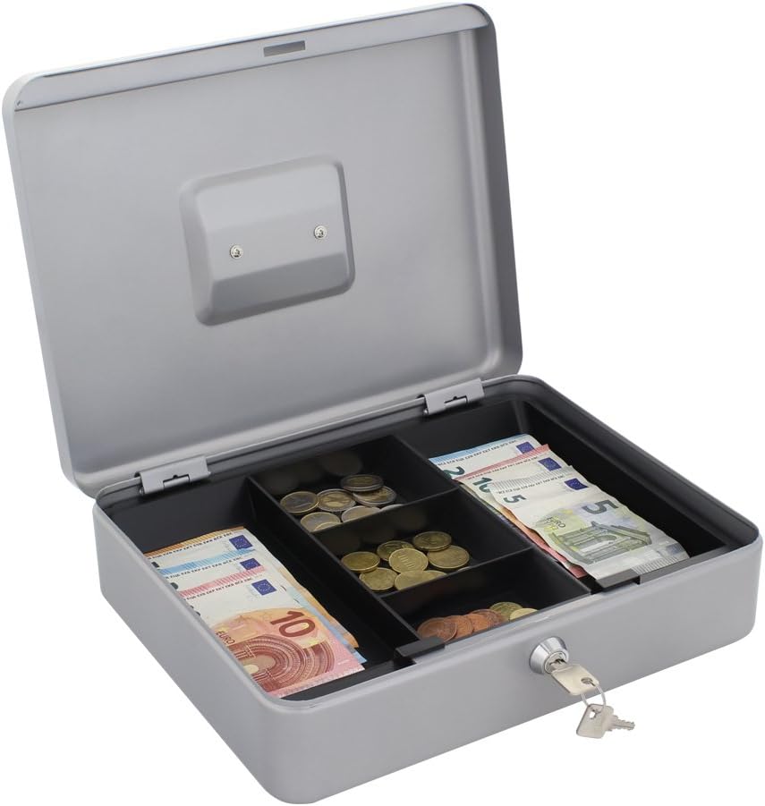 Rottner Geldkassette HomeStar Cash 4-silber-(BxH) 300x90 mm