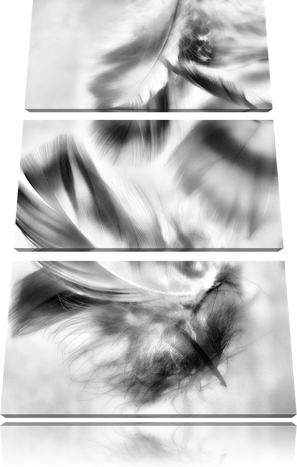 Pixxprint Weisse Feder auf schwarzem Stein als Leinwandbild/Grösse: 3 Teilig (120x80) cm/Wandbild/Ku