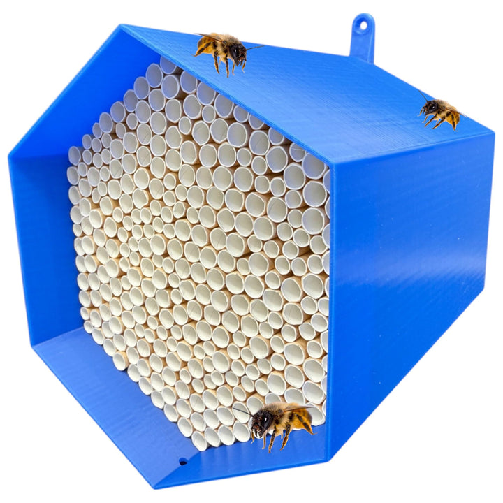 Wildbienen-Nisthilfe – absolut haltbar &amp; wetterfest. Insektenhotel mit 300 Nisthülsen. Hochwertiges