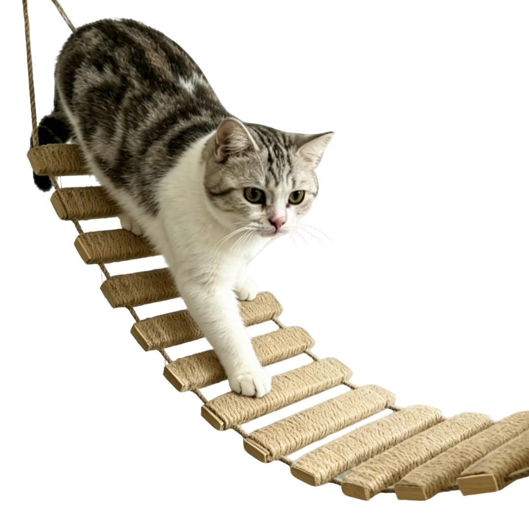 Katzenleiter 150 cm, 3-in-1 Katzenleiterbrücke Wand aus Holz &amp; Sisalseil | Katzenbrücke Wand Katzent