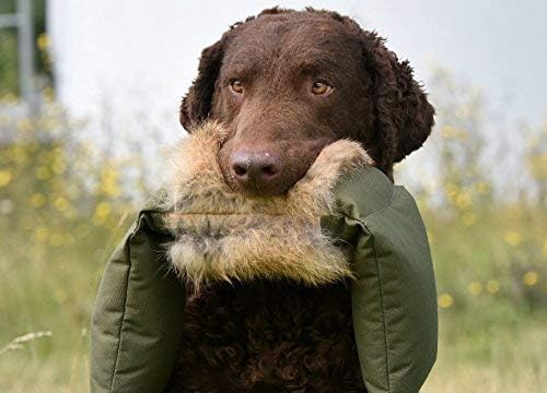 FIREDOG Fuchsdummy | Dummy mit echtem Fuchsfell | Dreiteilig für das Apportiertraining | 4000g